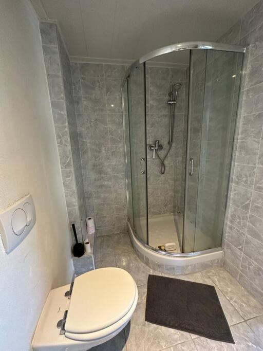 Duplex F2 - Proche Gare Tgv Appartement Mulhouse Buitenkant foto